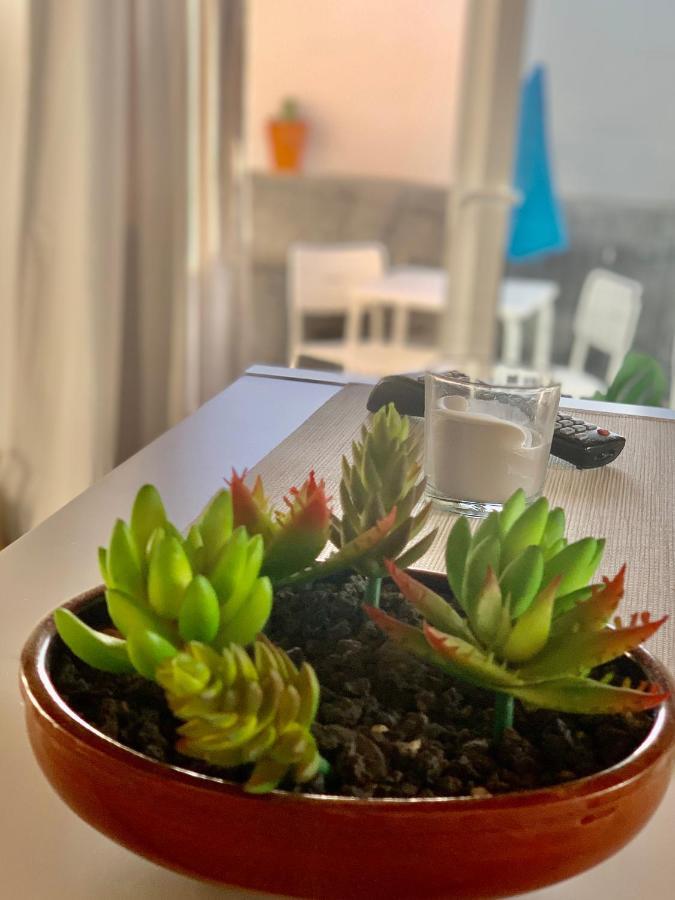 플라야블랑카 Loft La Isla 아파트 외부 사진