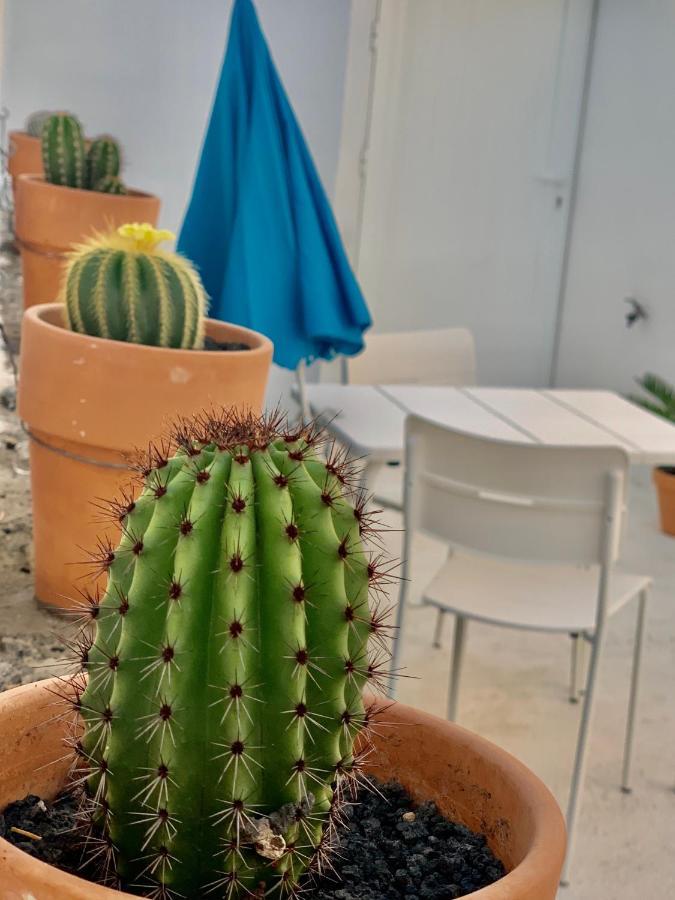 플라야블랑카 Loft La Isla 아파트 외부 사진